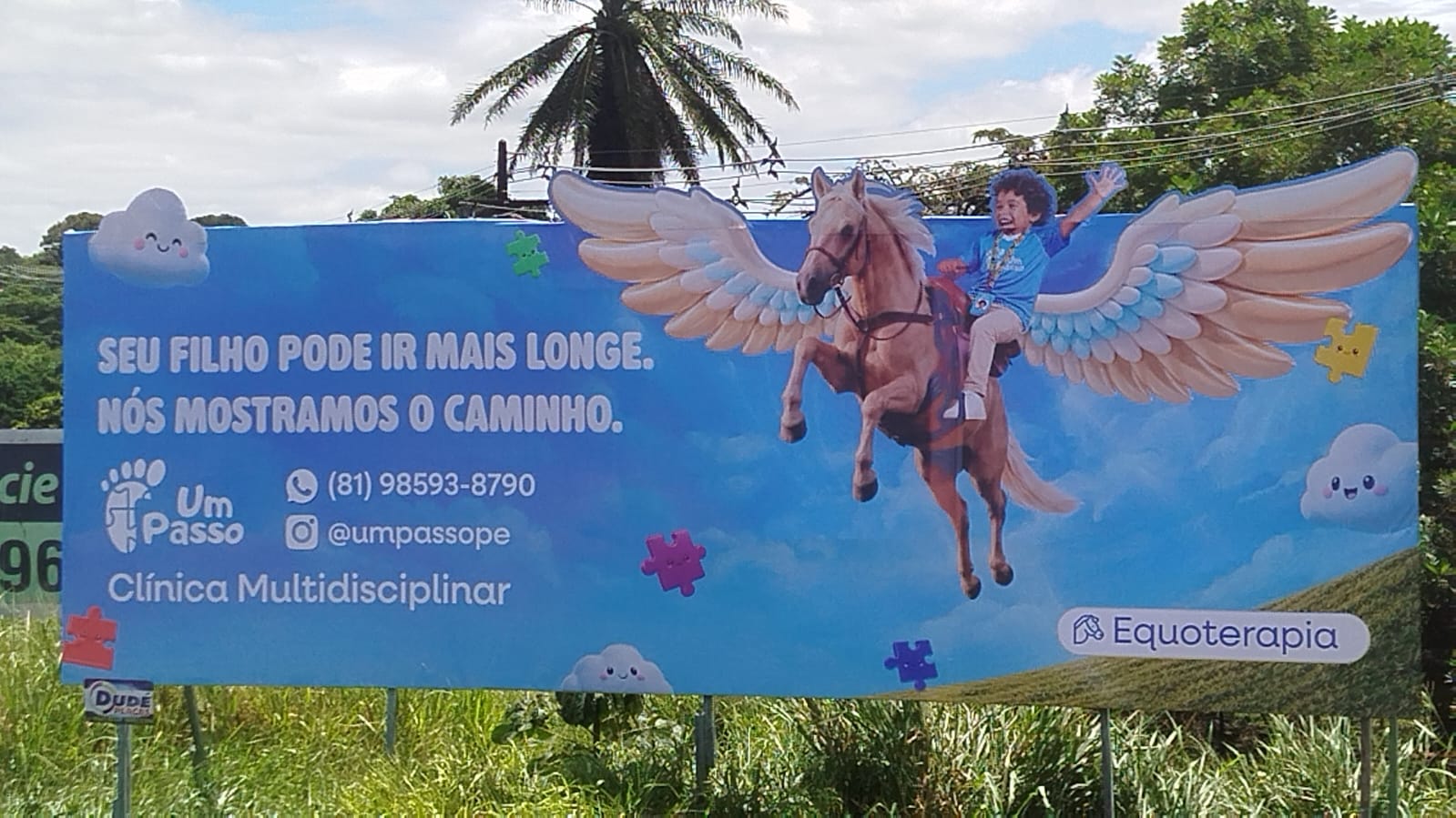Painel Um Passo Equoterapia